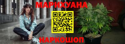прущие грибы Абакан