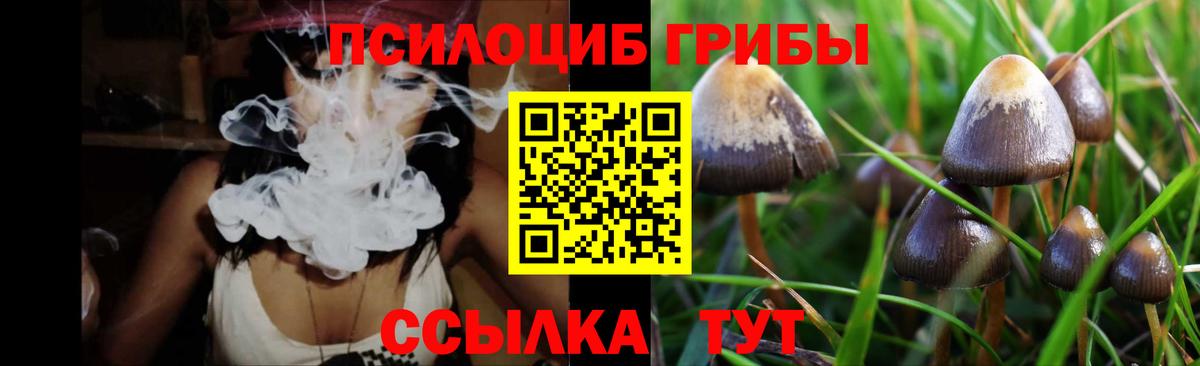 Галлюциногенные грибы GOLDEN TEACHER Алушта
